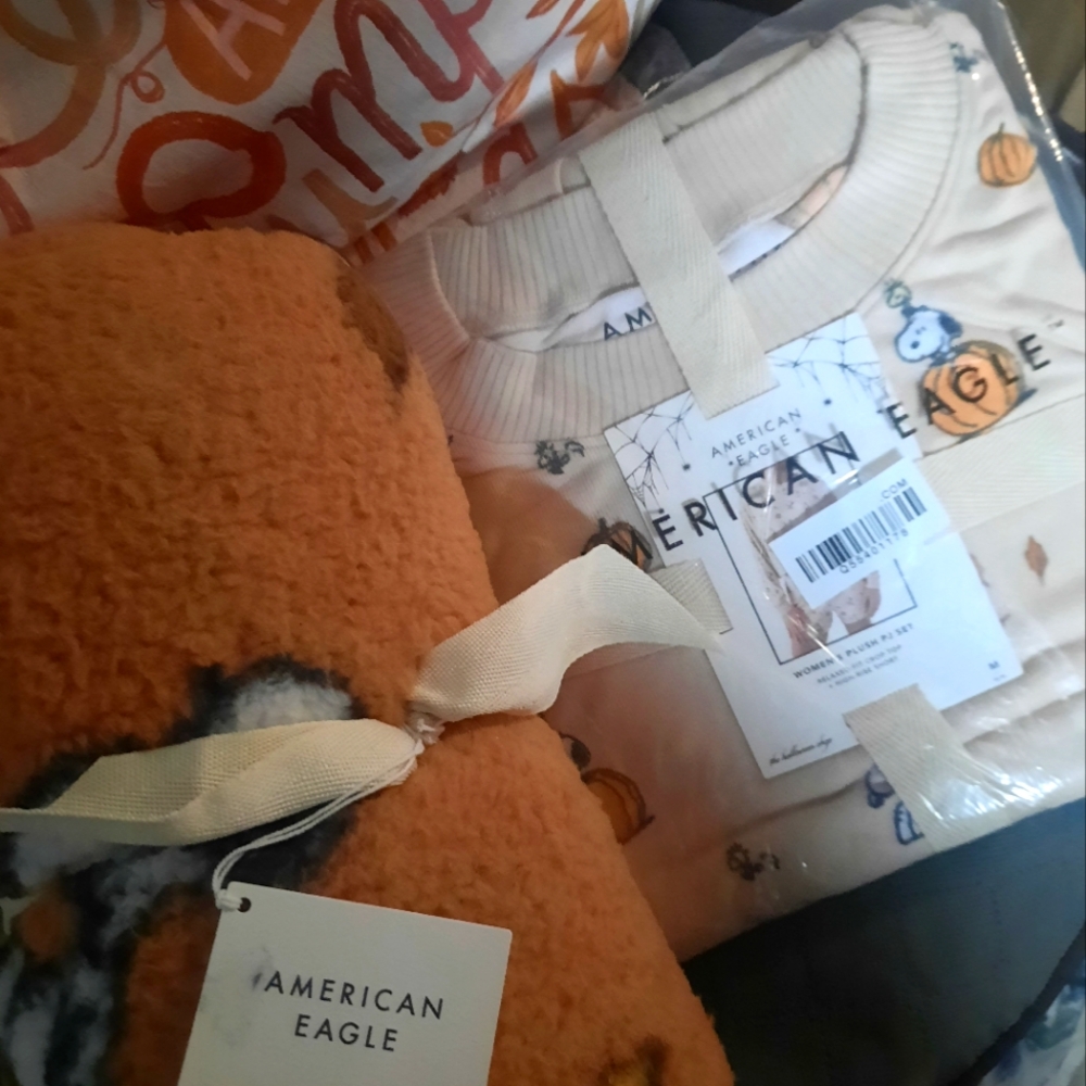 American Eagle 2024 Peanuts Snoopy Pumpkin Lot Pajamas And Blanket